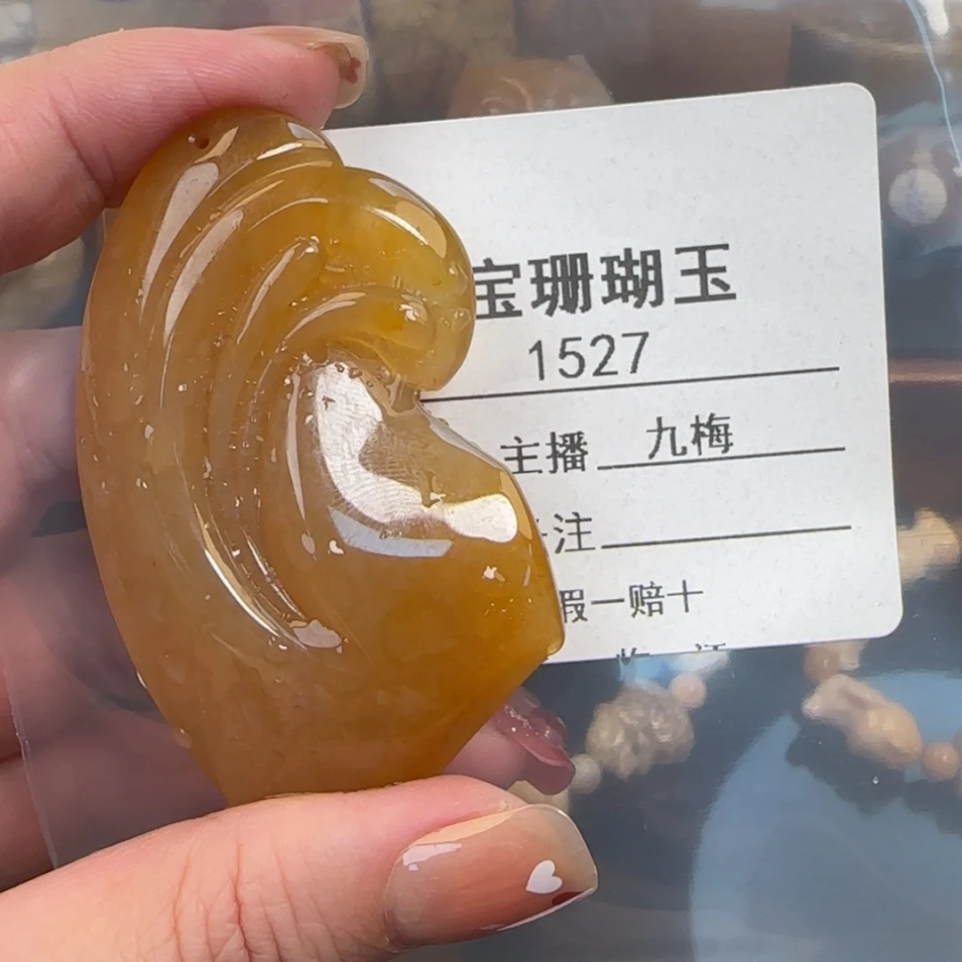 浮****硅化珊瑚（珊瑚玉）未镶嵌颈饰