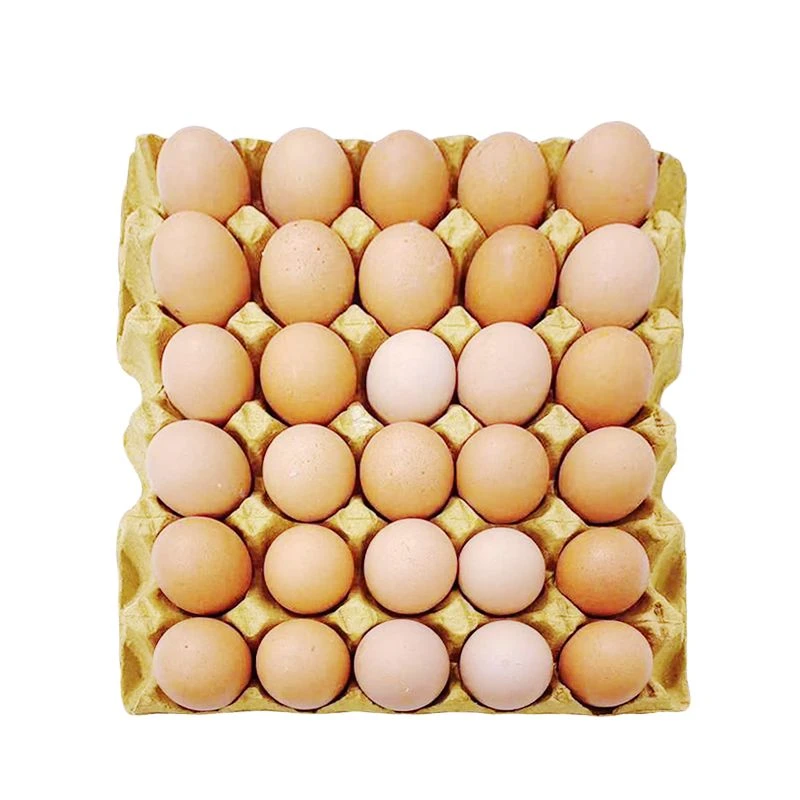 谊家粮心杂粮鸡蛋30枚