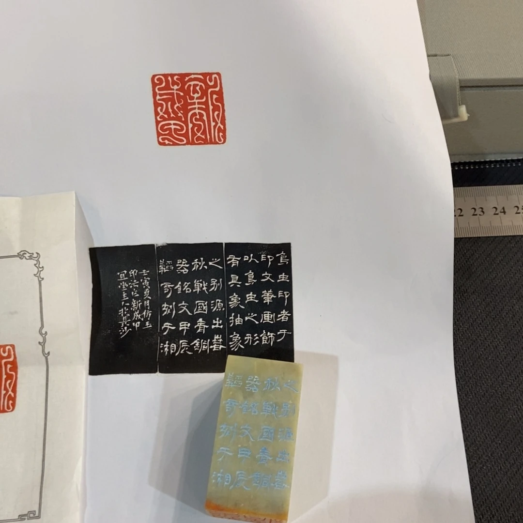 【闪购商品】国画灵**趣墨鱼精品墨鱼精品