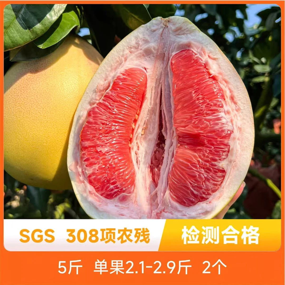 辰颐物语 琯溪三红蜜柚5斤装 平和县红心柚子产地现摘清甜多汁