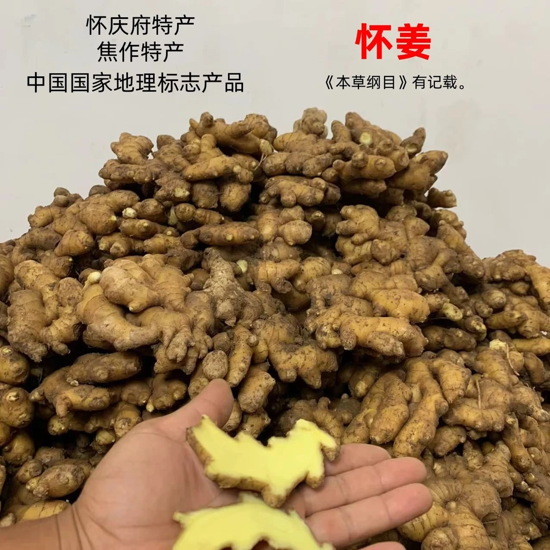 [太行山老怀姜]河南焦作特产千年传承老怀姜浓郁辛辣河南焦作怀姜