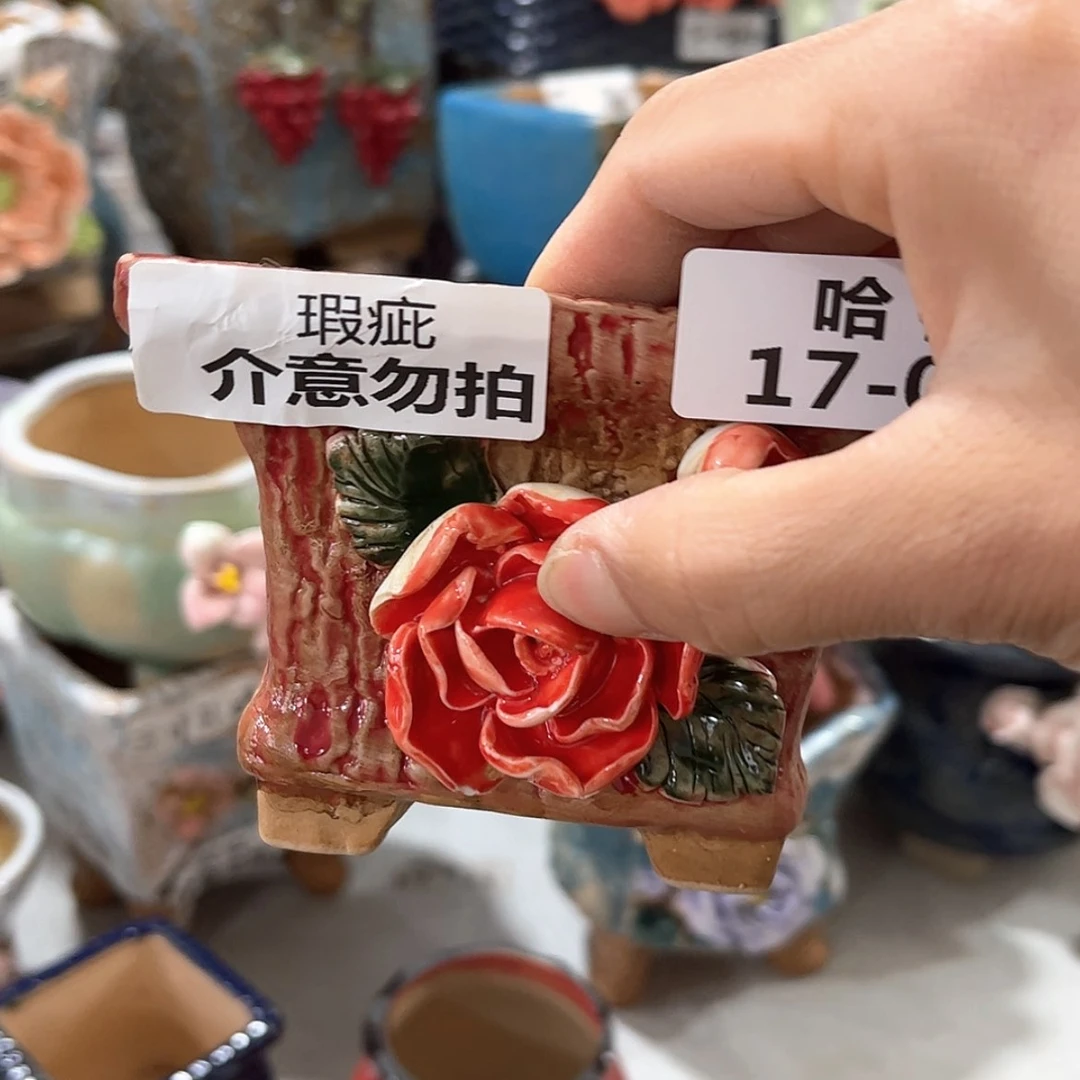 【闪购商品】红陶福利