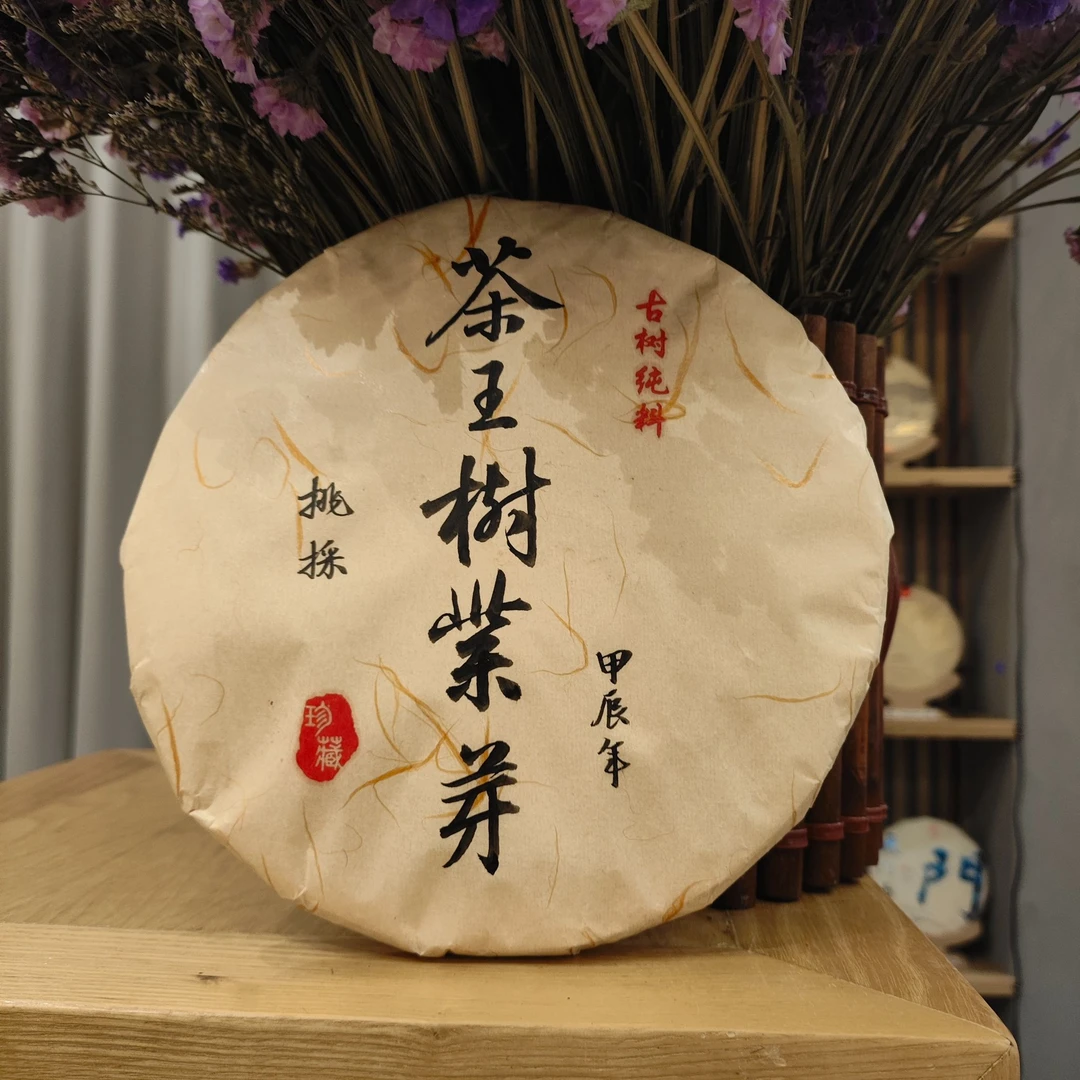 【四周年庆】2024茶王树刮风寨紫芽357g普洱生茶源头精品好茶