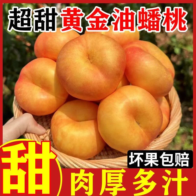 正宗山东蒙阴沂蒙山黄金油蟠桃新鲜多汁水果桃甘甜扁油桃蟠桃批发