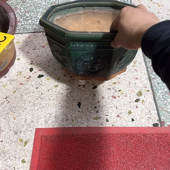 红陶韬**晦。。。。。。。。。。。