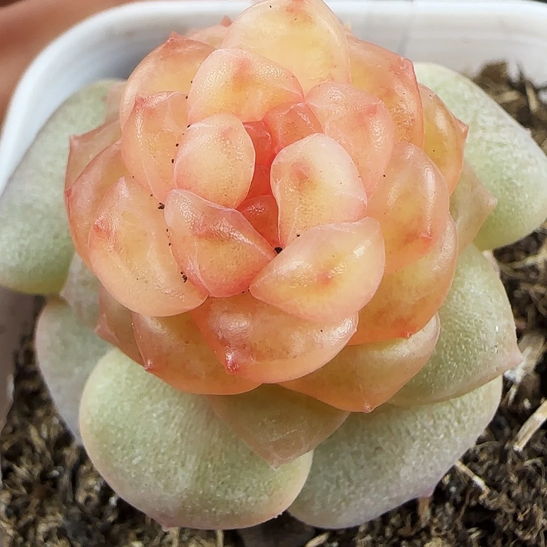 630号哈哈哈哈哈哈