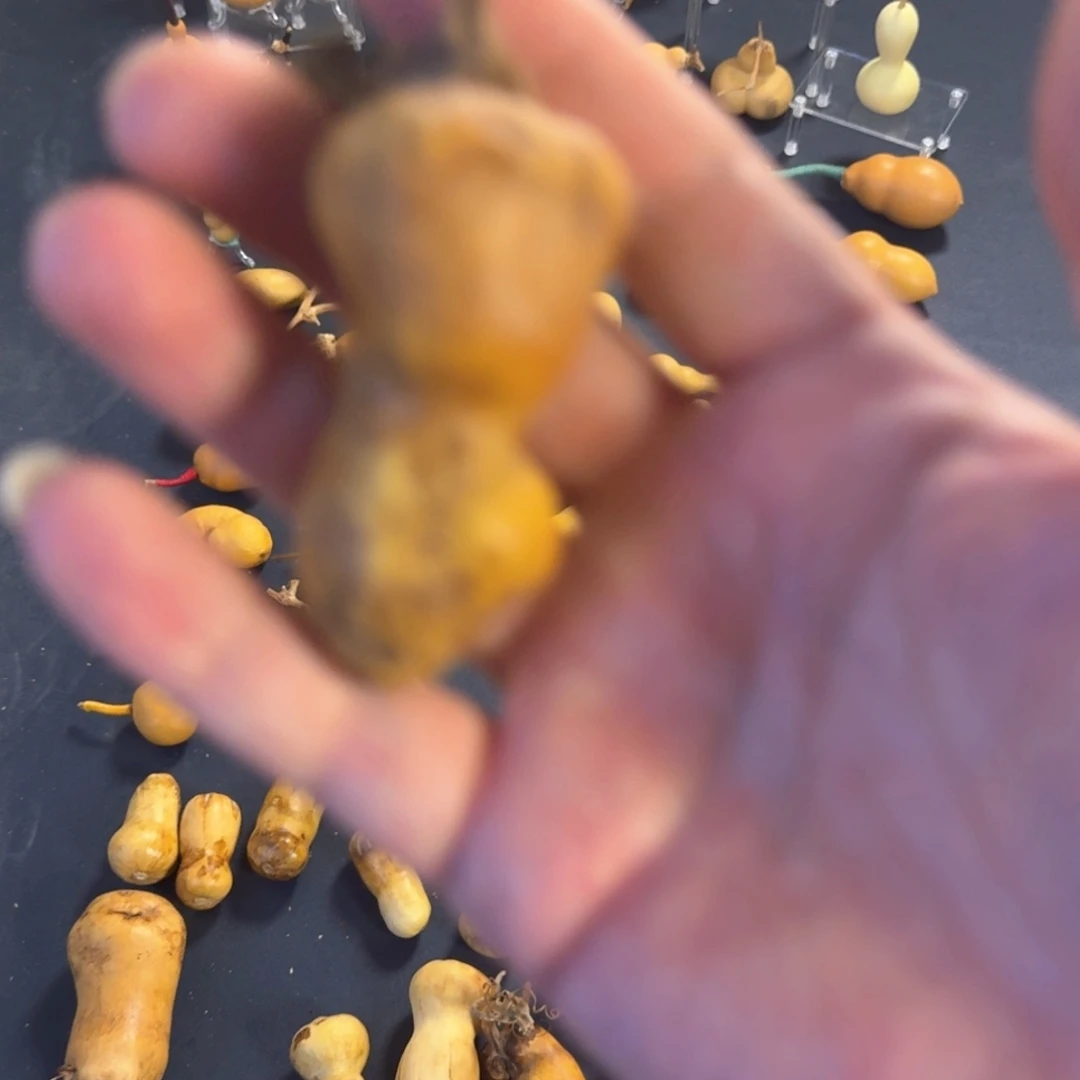 那***人紫檀木类端景台发货矜孤恤寡h家家户户