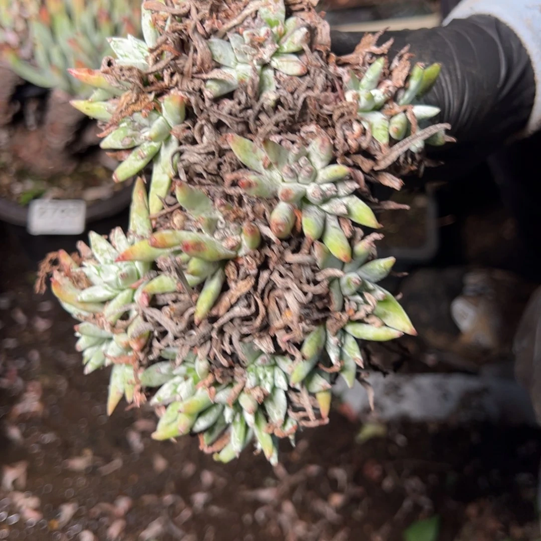 2776哈哈哈哈哈哈哈