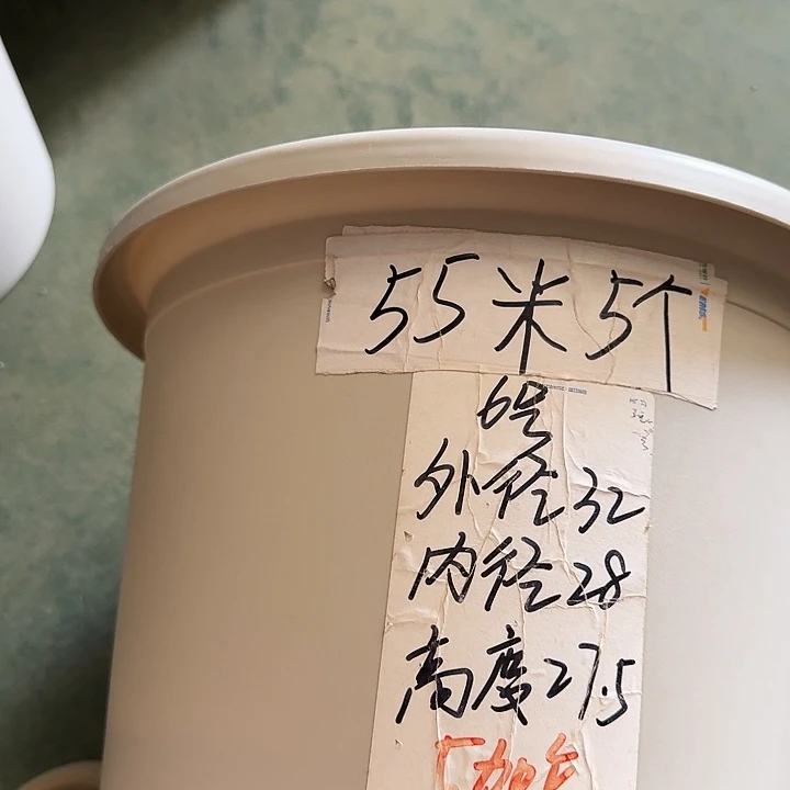 四季6号灰白无托7个特价微瑕