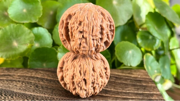 磨盘狮子头【新人练手对】，默认随机发货！理智下单！谢谢！