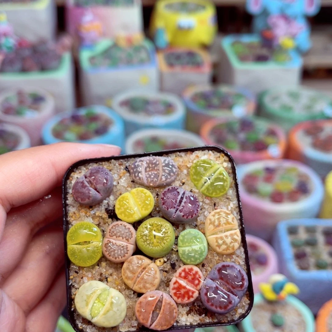 128. 8899888888888888