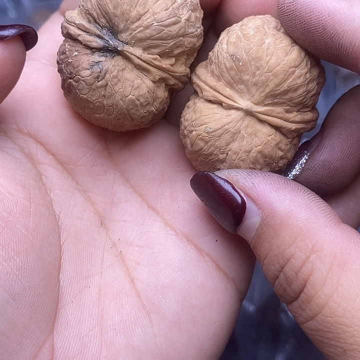 文玩核桃吊坠66号37mm