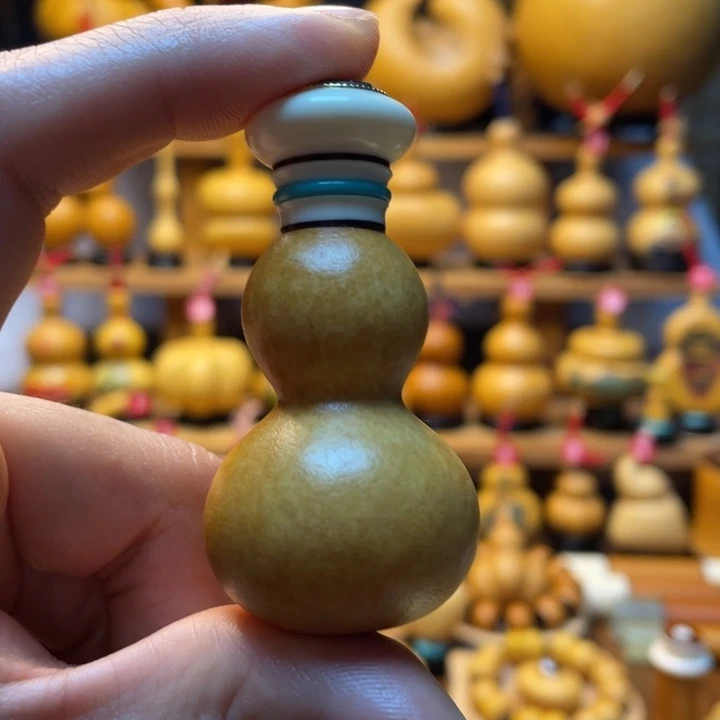 春****a天然葫芦自然生长