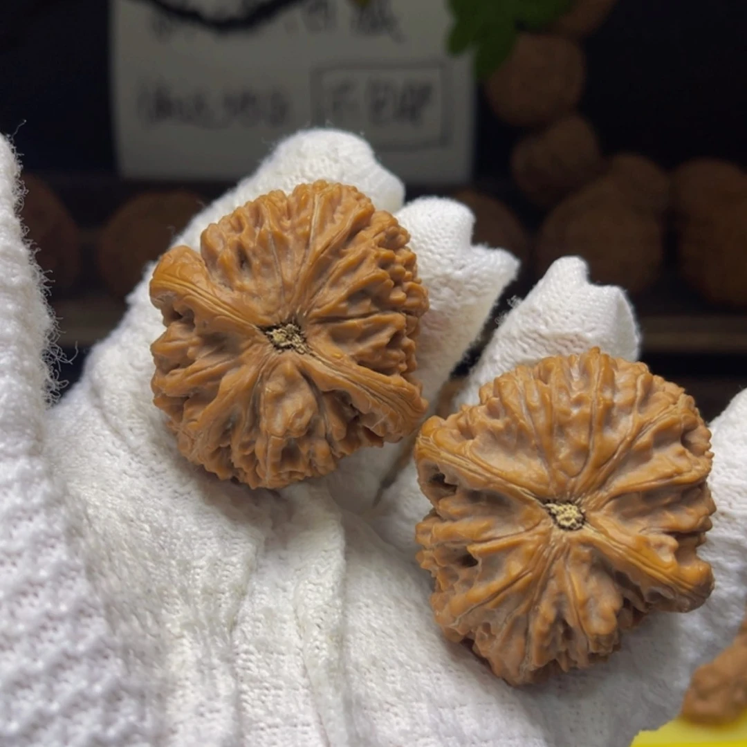 【闪购商品】核桃把件43尺寸水龙纹
