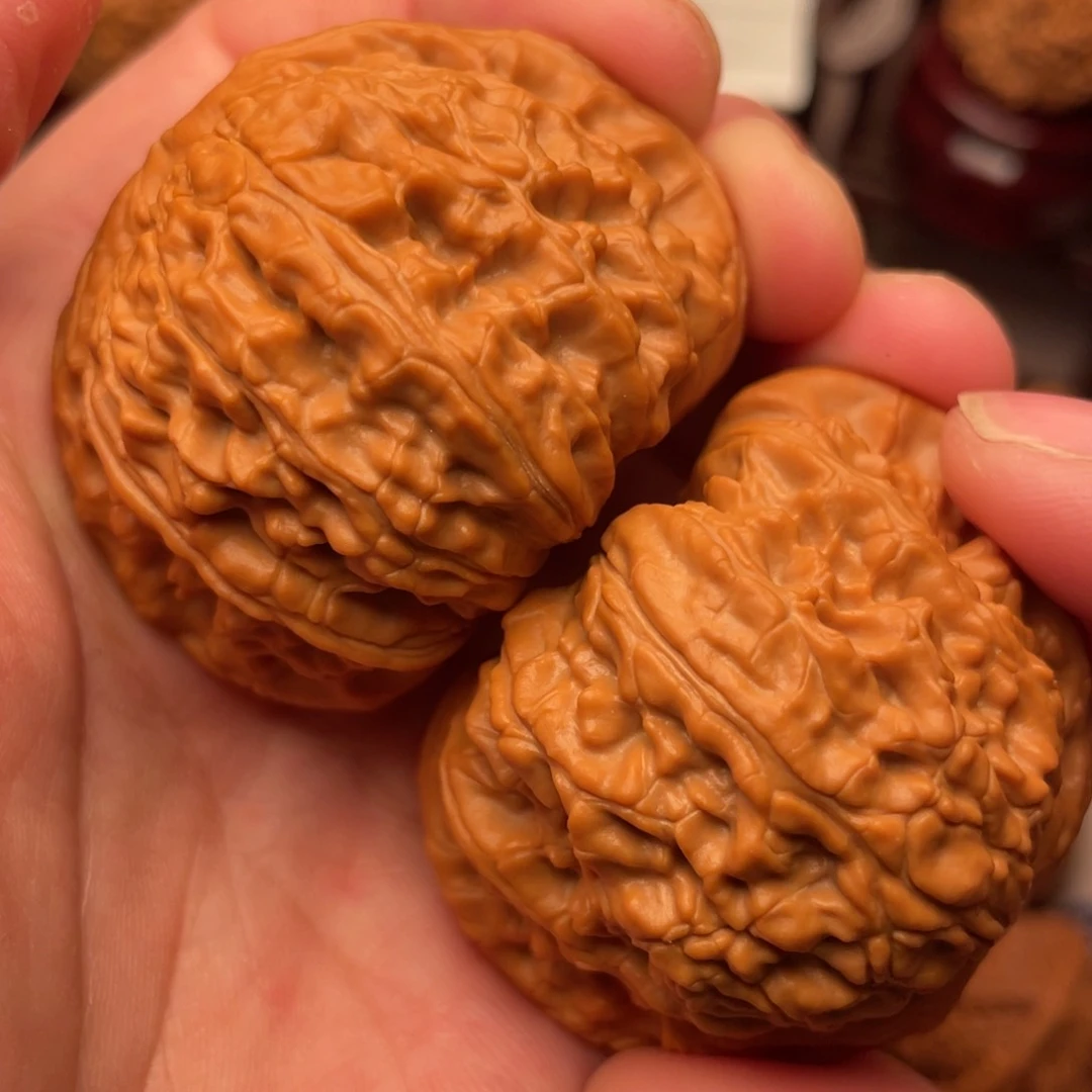 全品爆肉红皮粗筋白47