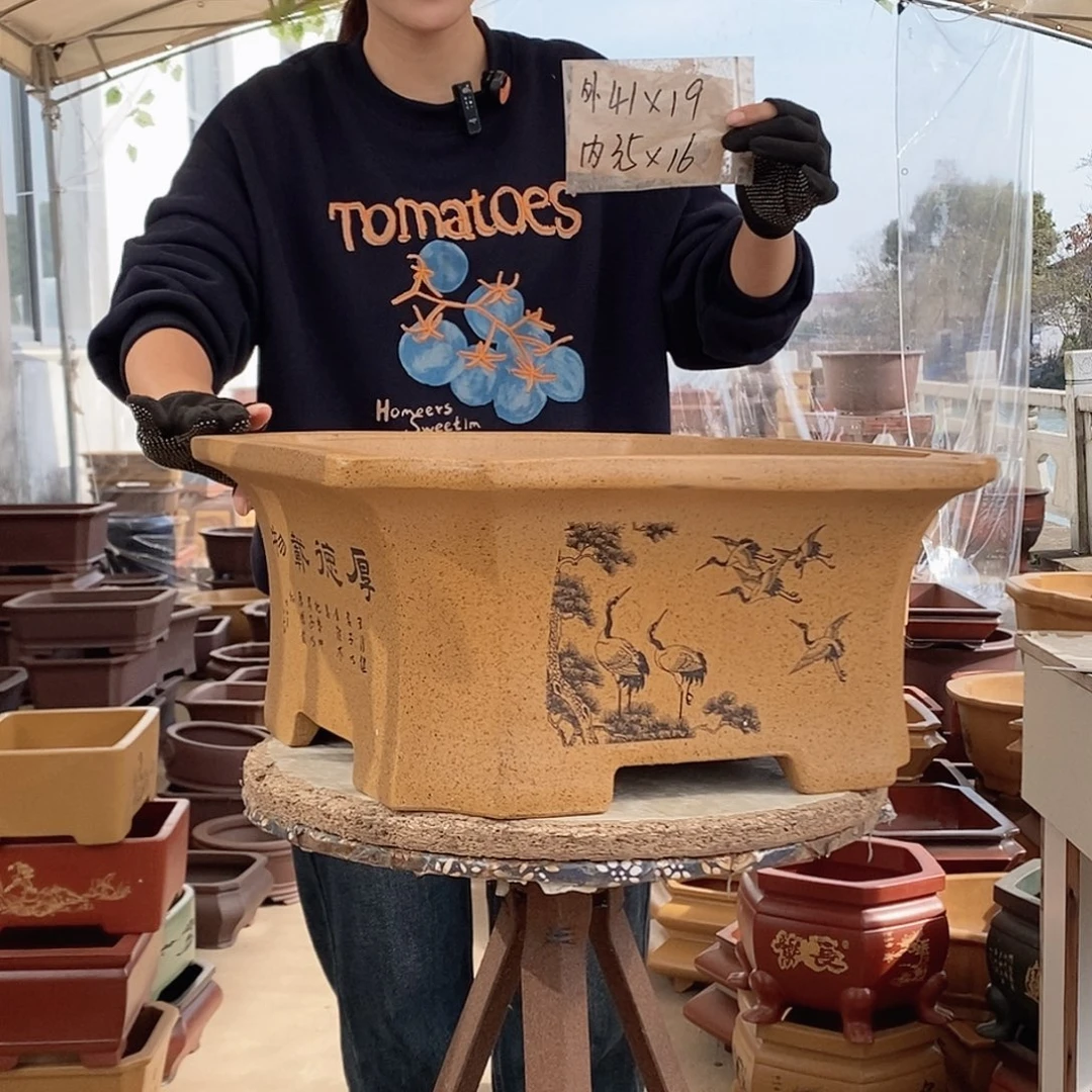 花盆紫砂紫砂花盆