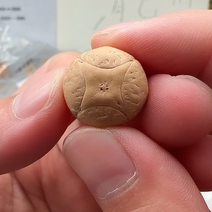 麒麟眼菩提吊坠18➕精品麒麟