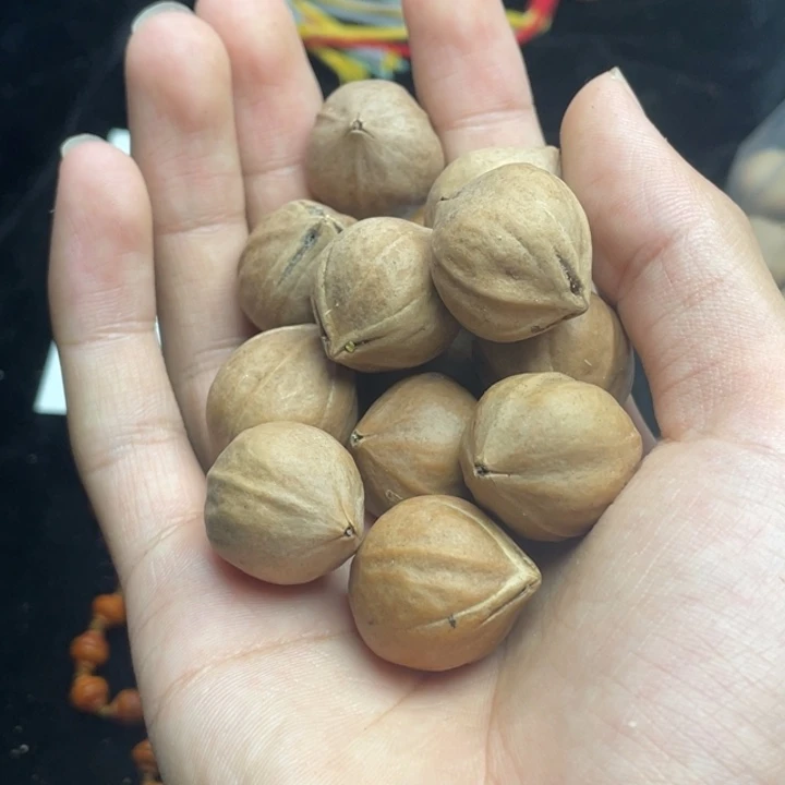 手串/手链橄榄核2.0