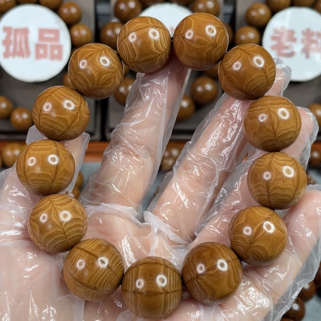 六道木黄金底，精品1.8