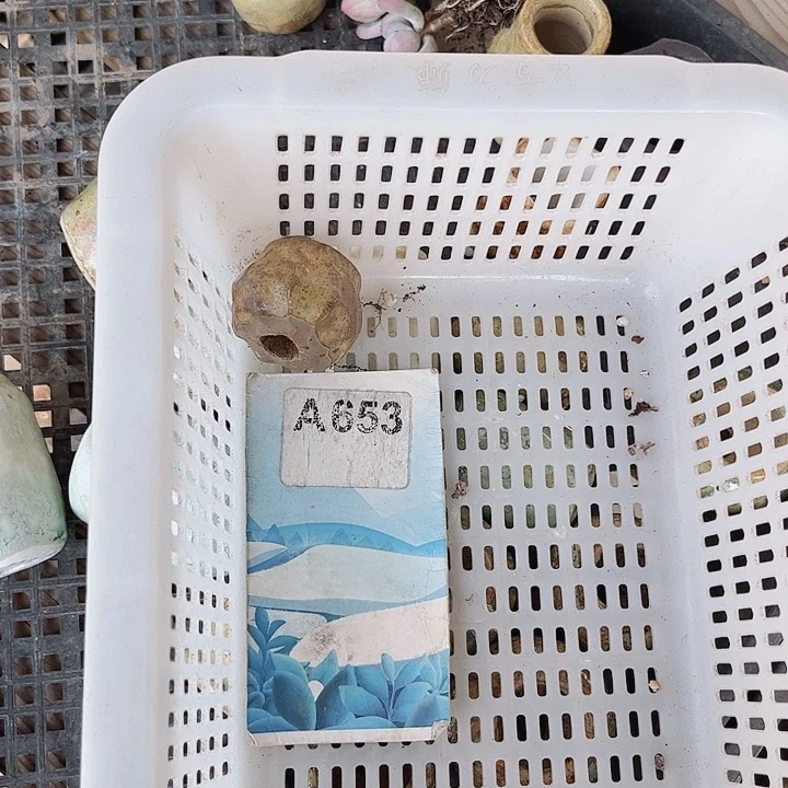 绊**盒653密密麻麻密密麻麻吗