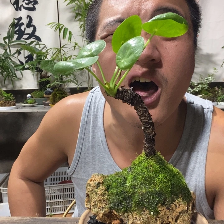 追***忆无花朵退款拉黑拉黑131