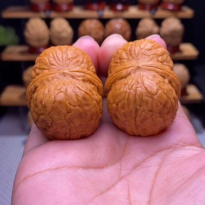 木质类云铁寿星元宝46号39尺