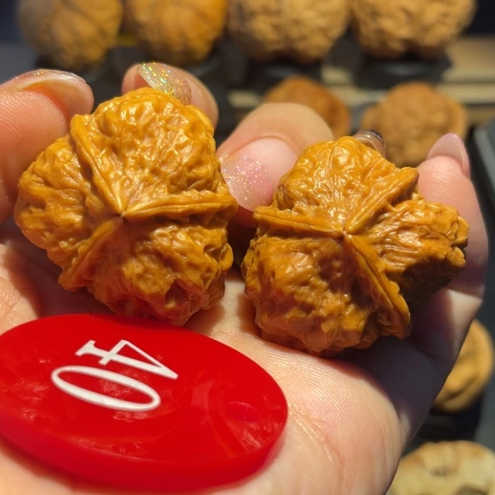 油豆三棱核桃尺寸33