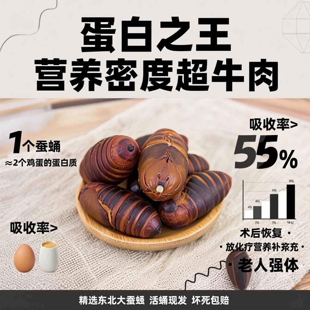 病友专拍 按个卖蚕蛹东北特产精品级蚕蛹鲜活黄茧蛹蝉蛹顺丰发货