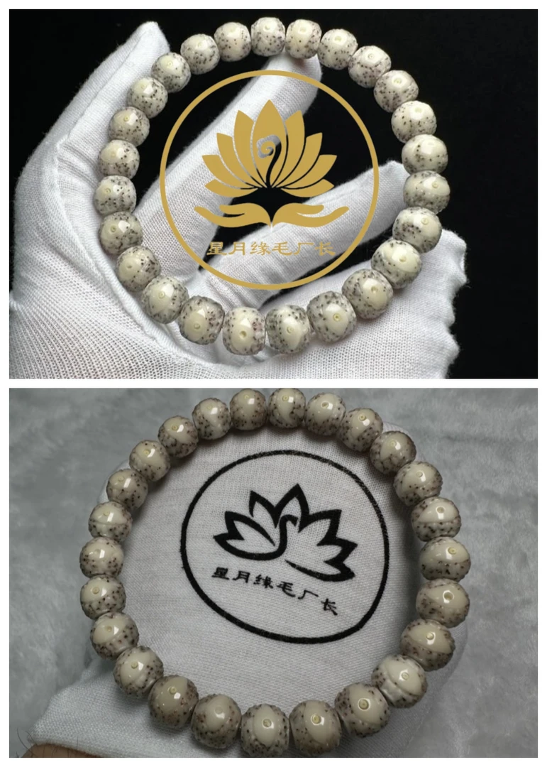 SSS25原生态星月菩提纯手工无相【腾蛇明眸】文玩好物