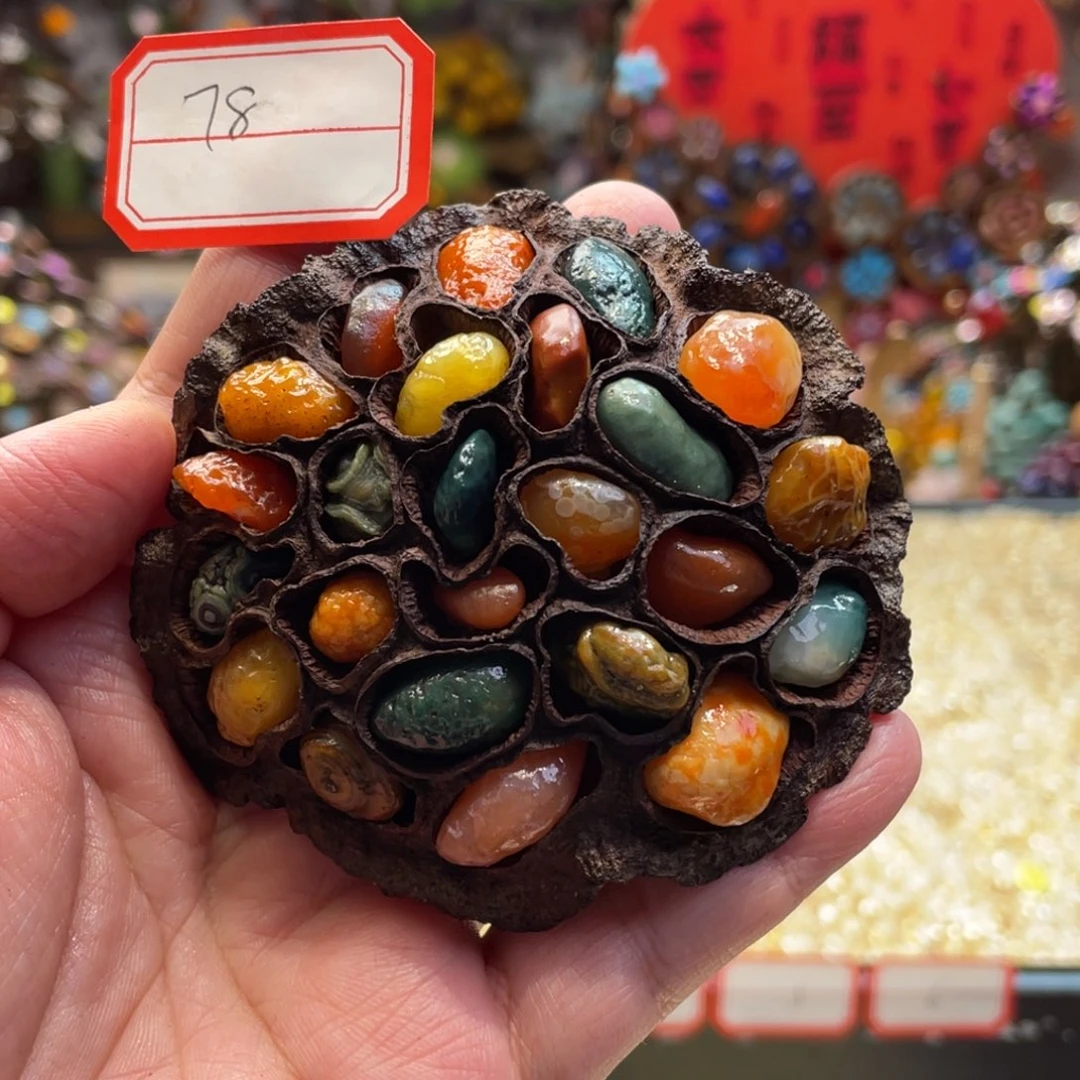 核桃木/黑胡桃（胡桃木）78卷卷