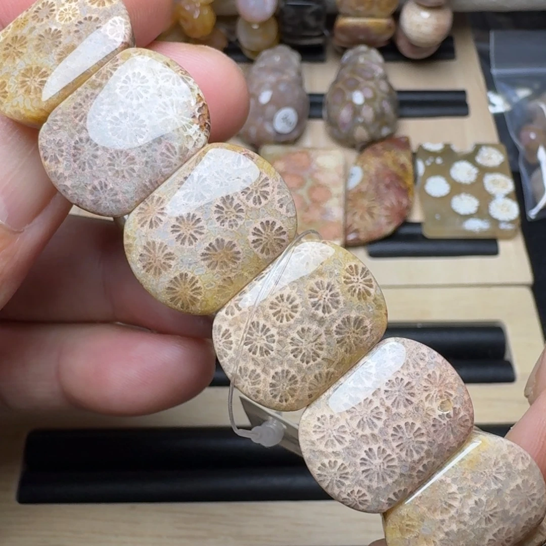 硅化珊瑚（珊瑚玉）未镶嵌纯天然色有机玉石保真色