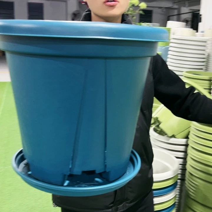 清仓青山口40高34果绿色5只带托