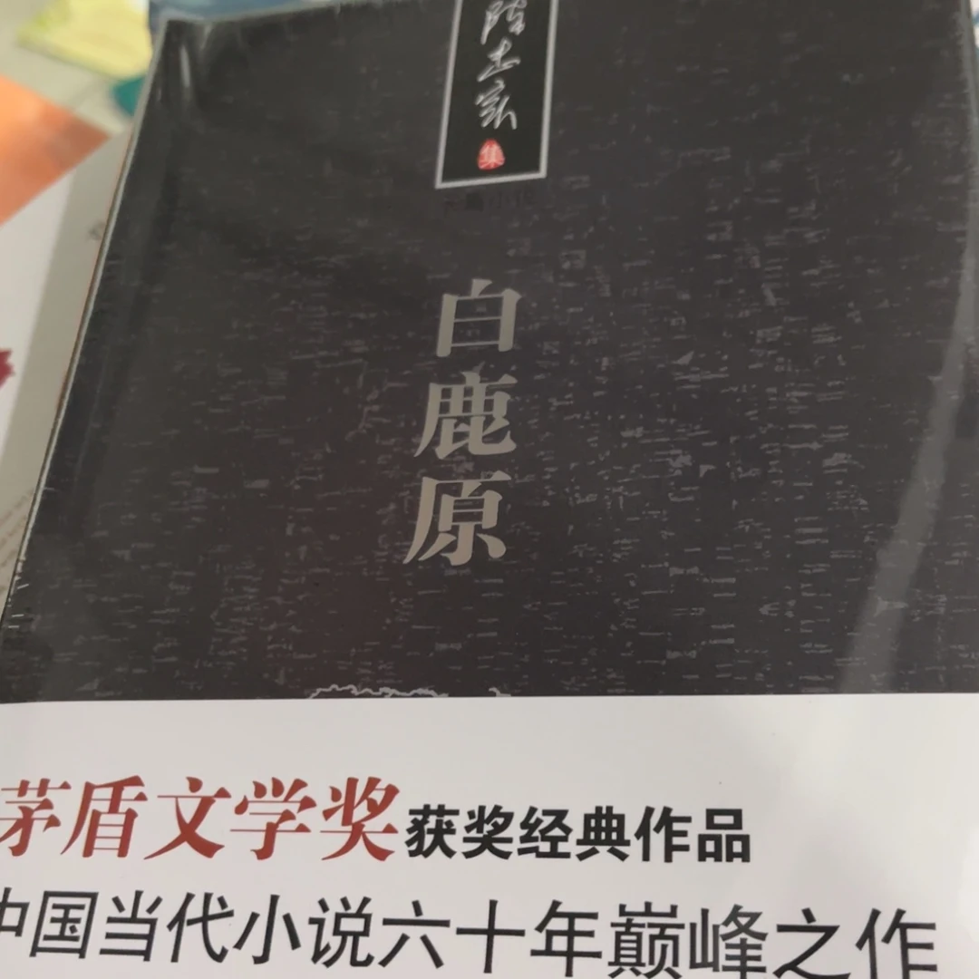 白鹿原精装一个福利