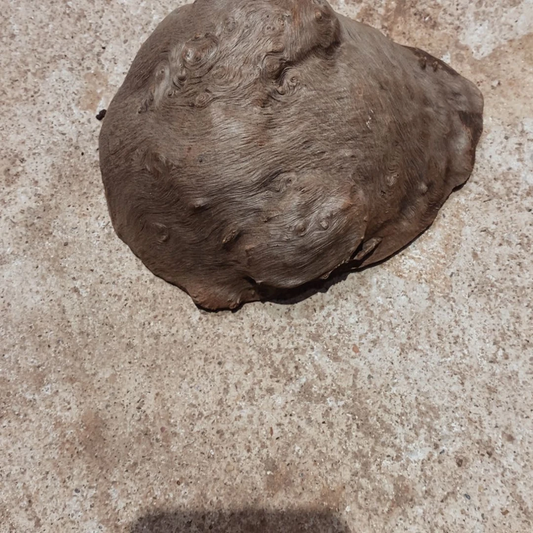 ·***·荔枝木随形木材一个