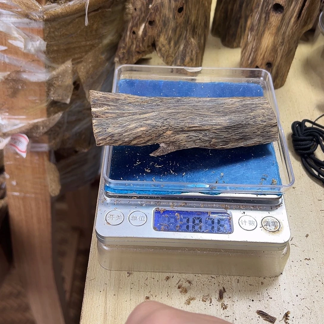 香料绿奇楠虫漏张勺子天然虫18克