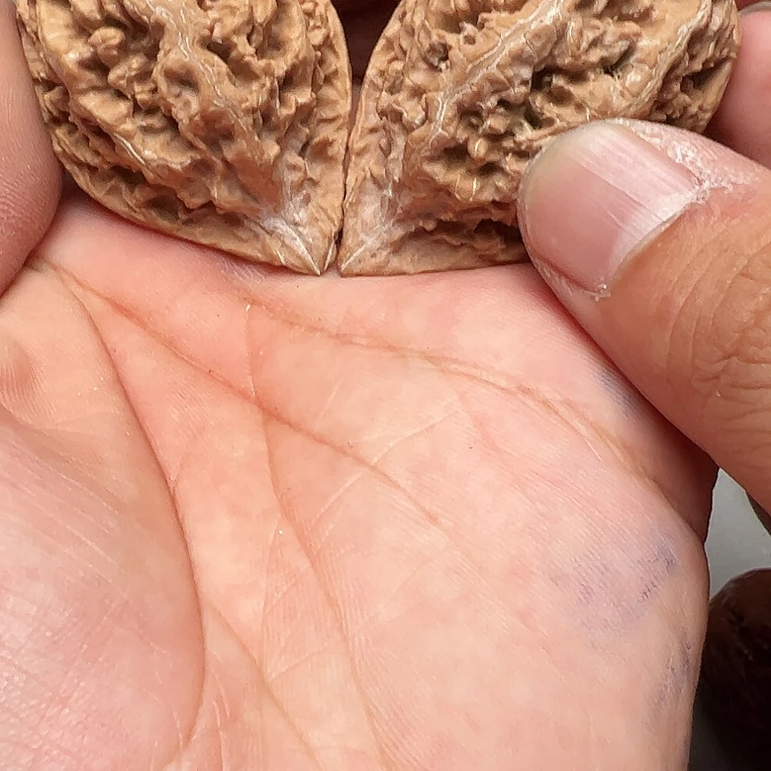 吊坠文玩核桃豆粒虎