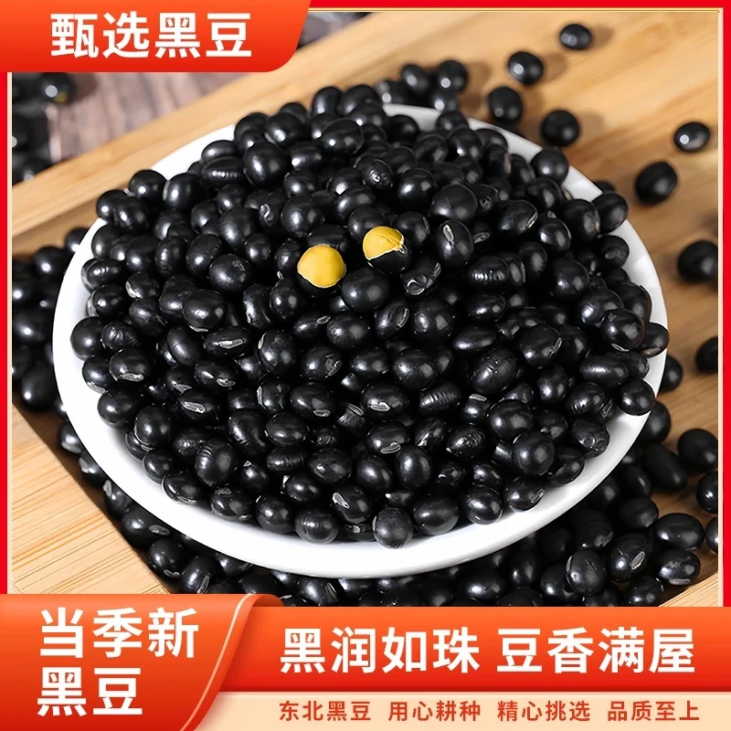 精选黄芯黑豆非转基因黑豆
