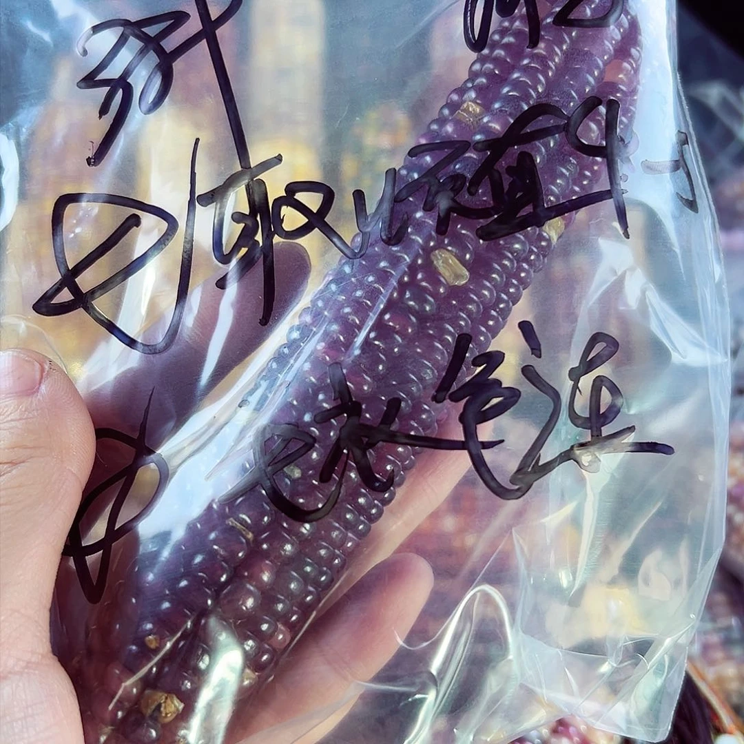 树脂青*亲爱的拍389