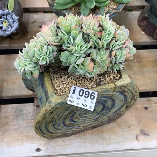 齐***齐银翼缀化096 亏本处理跑单拉黑7-8天发货