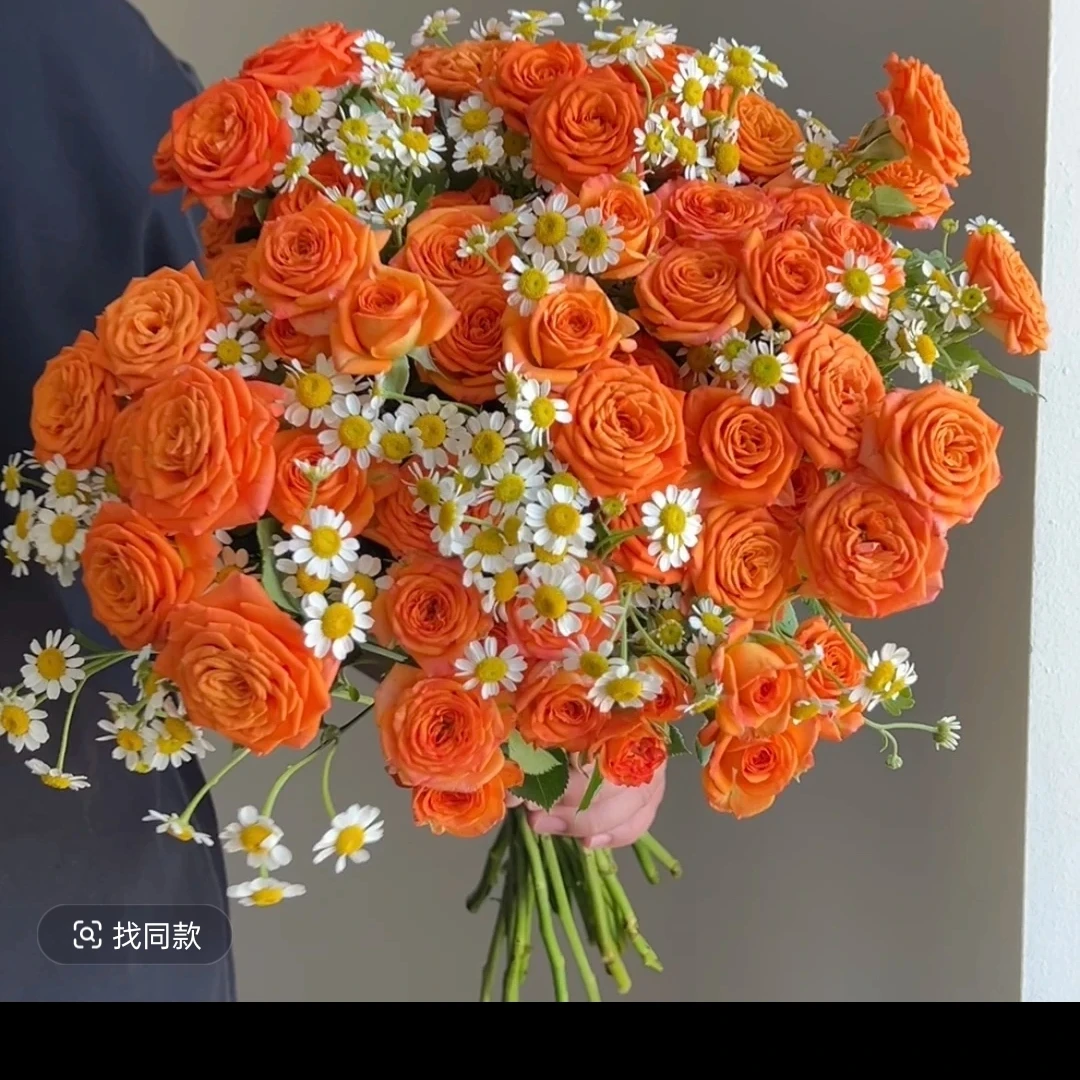 10枝橙色芭比家居花