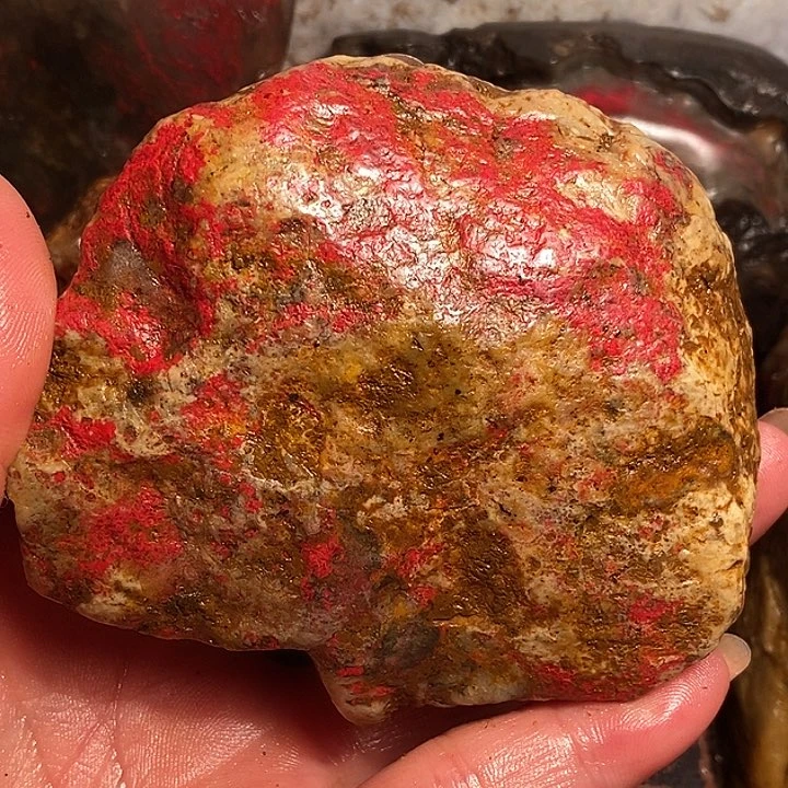 宋***平大叶紫檀（黑酸枝木类）