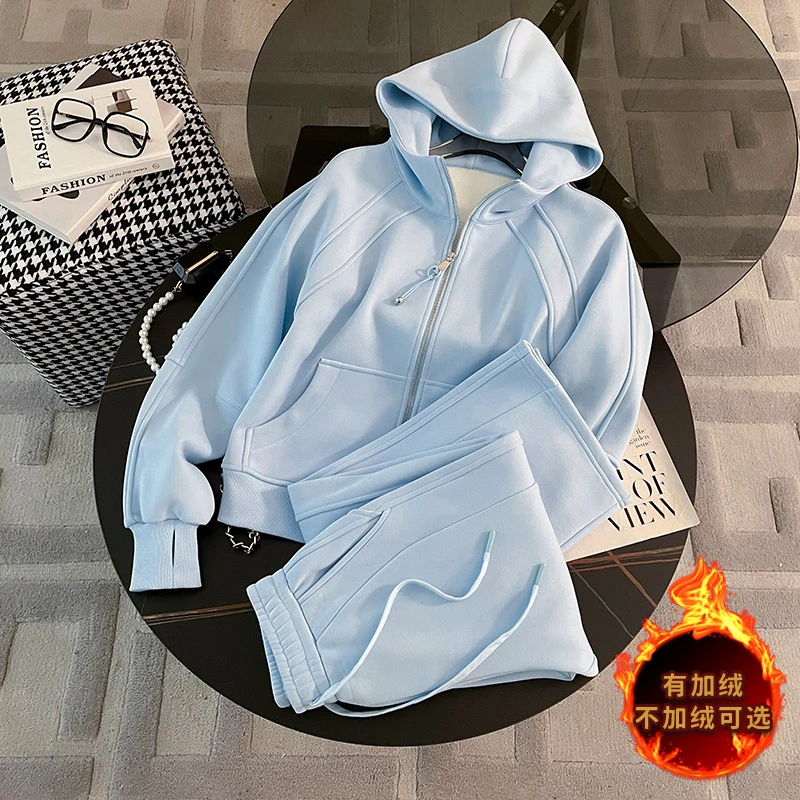 休闲运动时尚套装女春季新款高级感气质拉链连帽卫衣直筒裤两件套