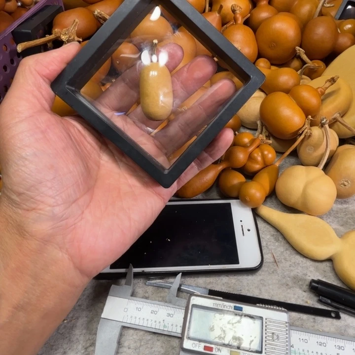 幸****小幸运的一把小冬瓜葫芦