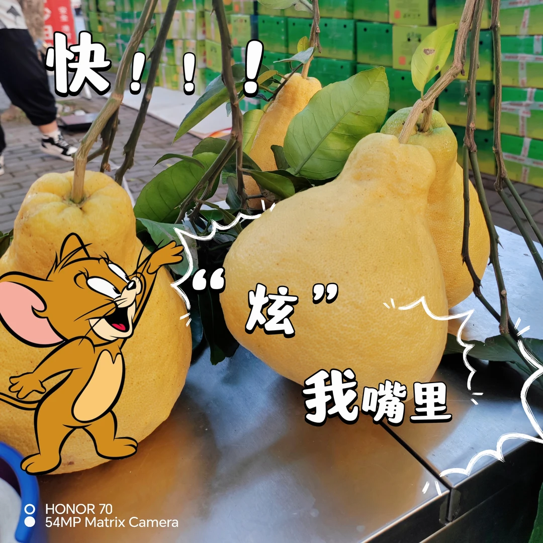 【大果论斤卖老阿姨现场挑果】重庆包邮正宗邻封沙田柚长寿县金柚子