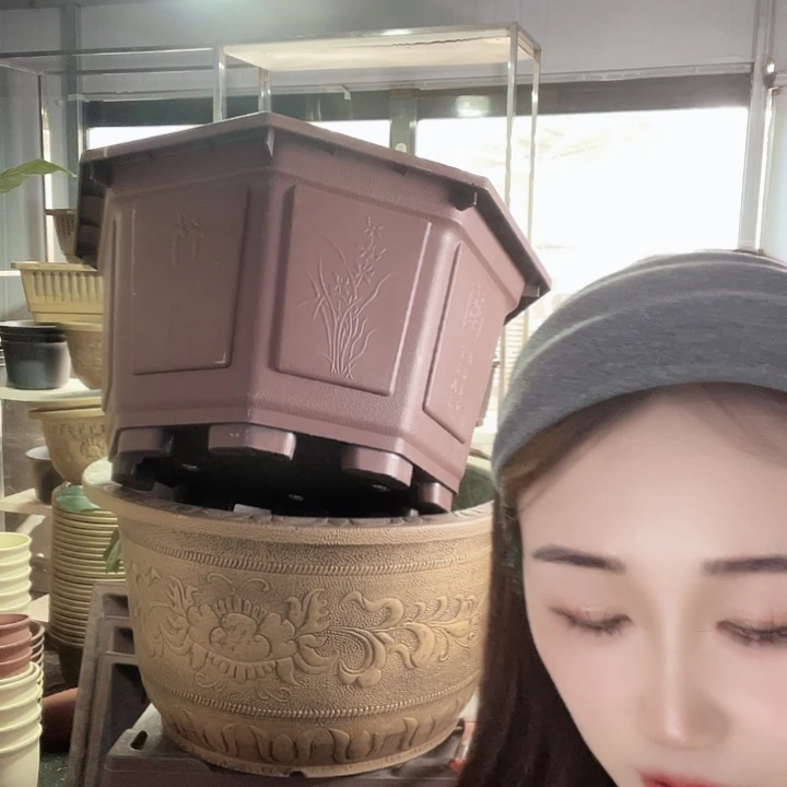 人人人盆盆盆景的时候