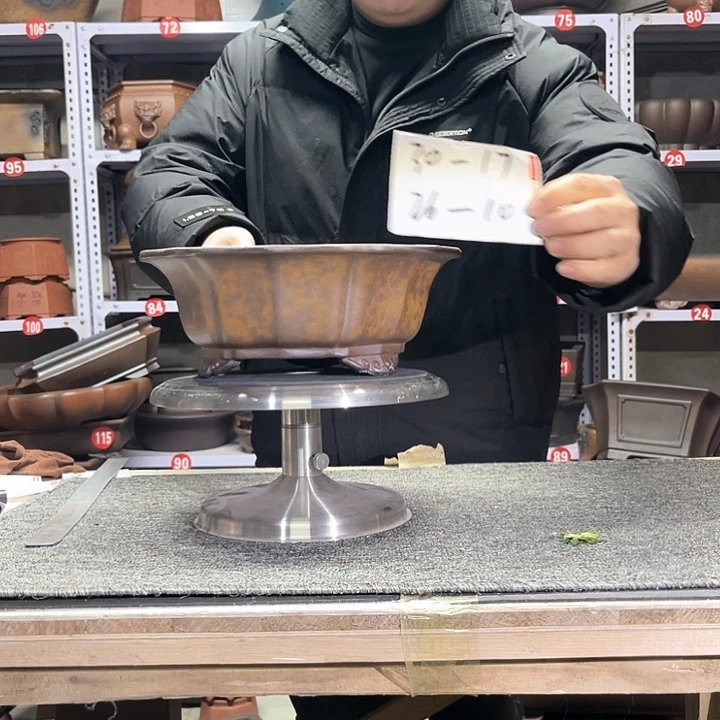 紫砂花盆紫紫好好看