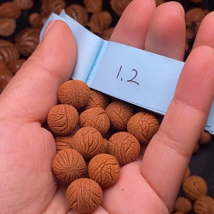 秦岭龙纹桃核20颗