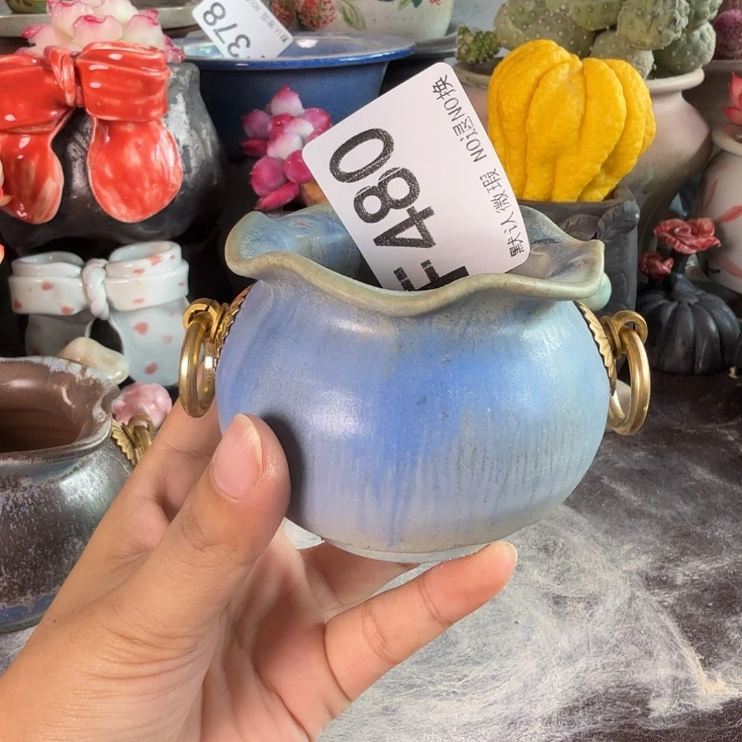重庆小燕子欢迎大家480