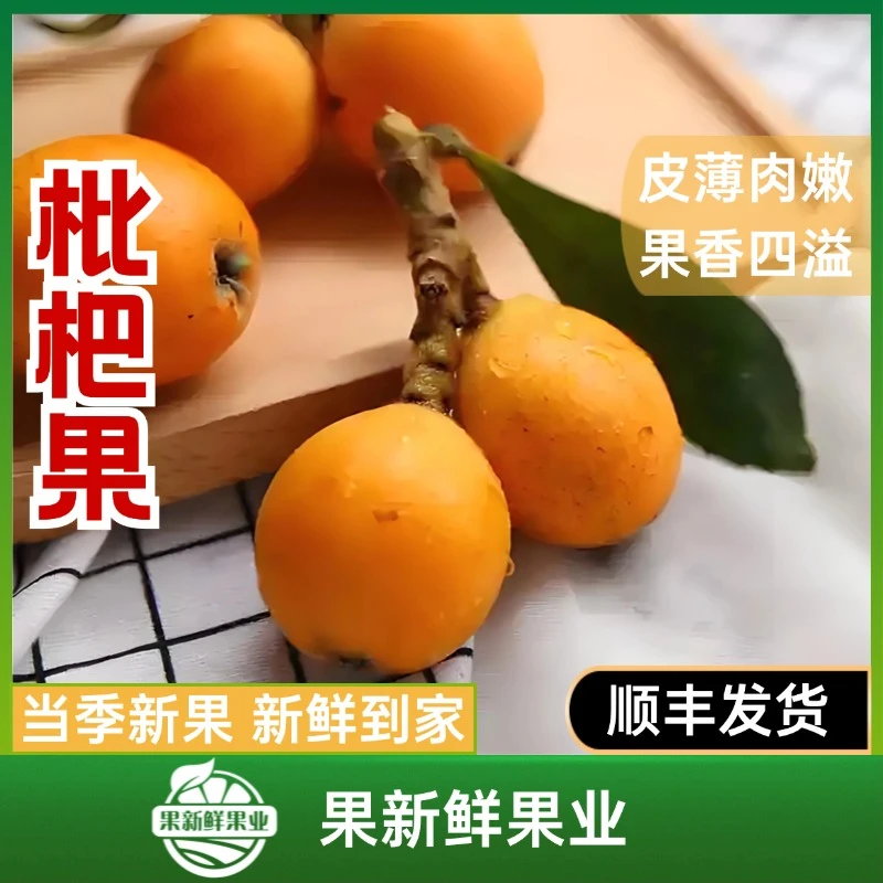 【枇杷果】（约0.8斤）皮薄肉嫩果香四溢新鲜应季同城包邮送货上门