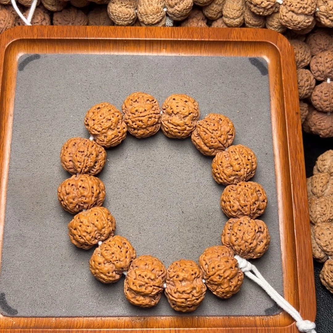 菩提13号尼泊尔大金刚25五星梅花蜂窝